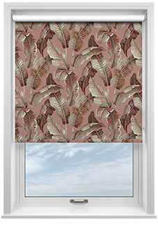 Nicobar, Blush - Roller Blind